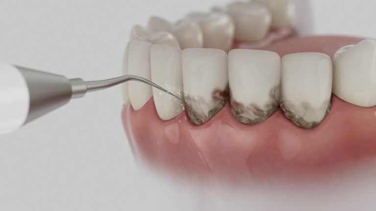 Reliable Dental contractor in Glenville, WV by Dentist Open Now